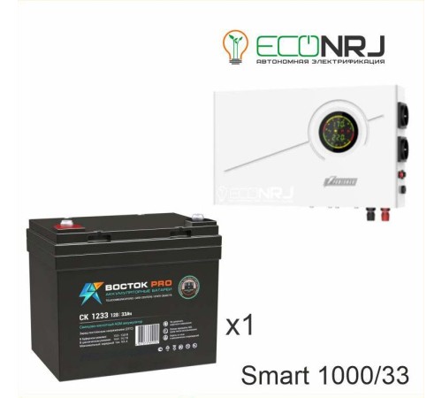 ИБП Powerman Smart 1000 INV + ВОСТОК PRO СК-1233