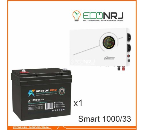 ИБП Powerman Smart 1000 INV + ВОСТОК PRO СК-1233