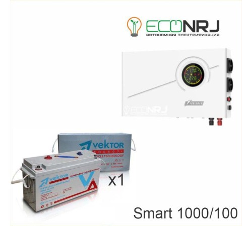 ИБП Powerman Smart 1000 INV + Vektor VPbC 12-100