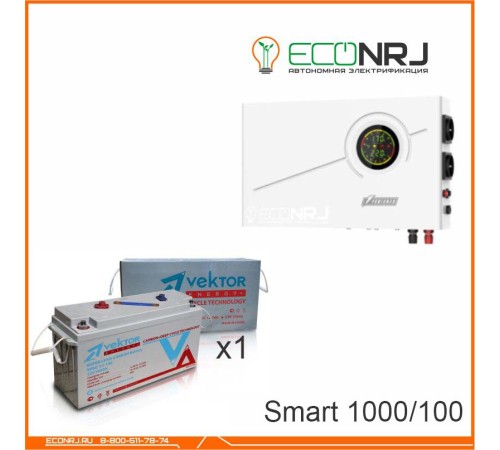 ИБП Powerman Smart 1000 INV + Vektor VPbC 12-100