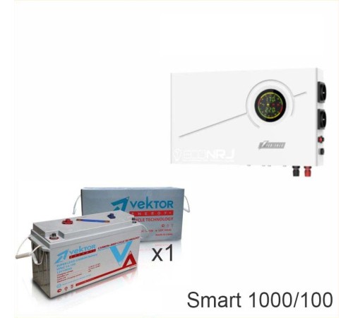 ИБП Powerman Smart 1000 INV + Vektor VPbC 12-100