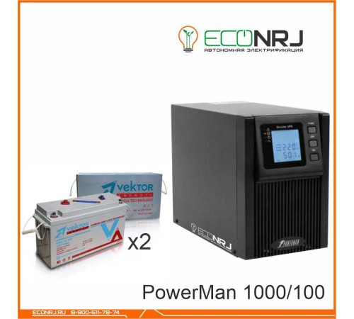 ИБП POWERMAN ONLINE 1000 Plus + Vektor VPbC 12-100