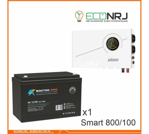 ИБП Powerman Smart 800 INV + ВОСТОК PRO СК-12100