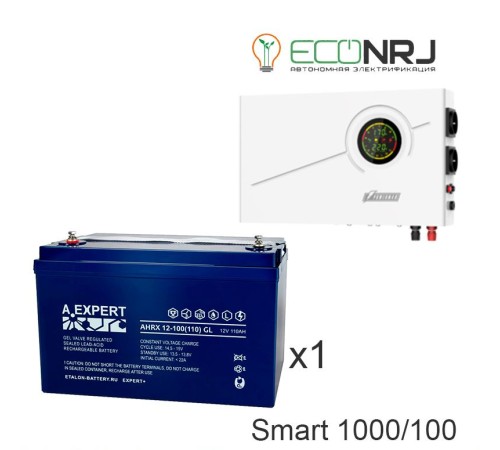 ИБП Powerman Smart 1000 INV + ETALON AHRX 12-100 GL