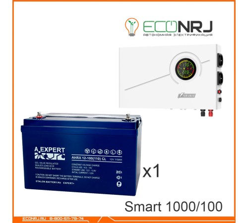 ИБП Powerman Smart 1000 INV + ETALON AHRX 12-100 GL