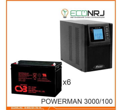 ИБП POWERMAN ONLINE 3000 Plus + CSB GP121000