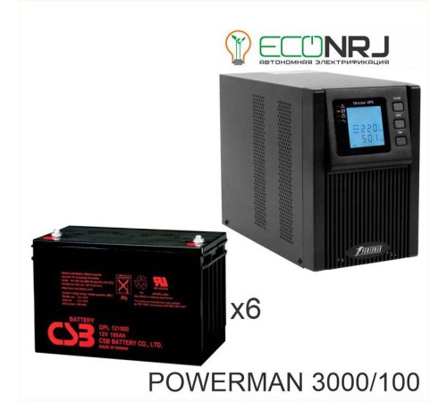 ИБП POWERMAN ONLINE 3000 Plus + CSB GP121000