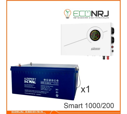 ИБП Powerman Smart 1000 INV + ETALON AHRX 12-200 GL