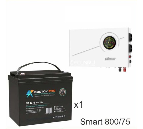 ИБП Powerman Smart 800 INV + ВОСТОК PRO СК-1275