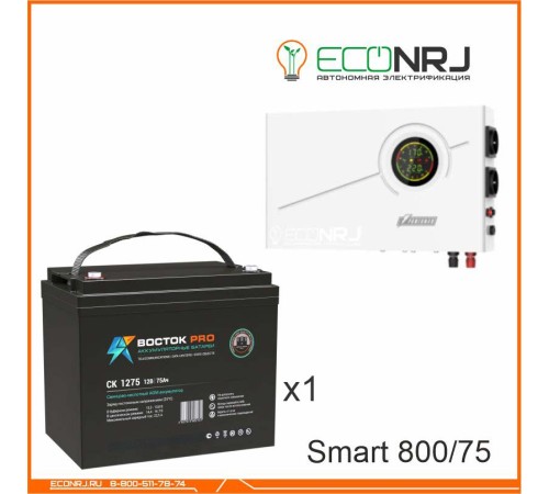 ИБП Powerman Smart 800 INV + ВОСТОК PRO СК-1275