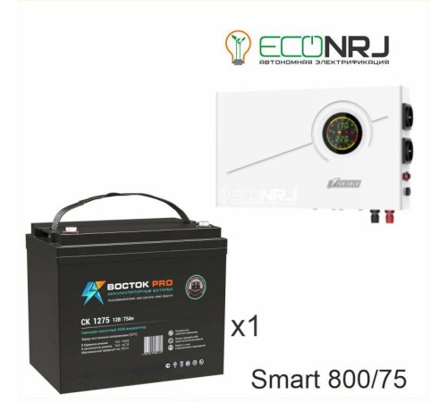 ИБП Powerman Smart 800 INV + ВОСТОК PRO СК-1275