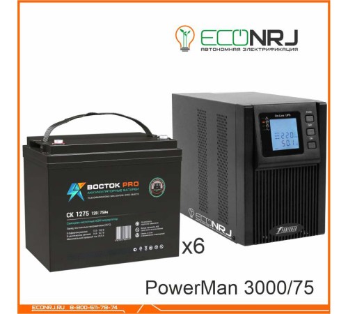 ИБП POWERMAN ONLINE 3000 Plus + ВОСТОК PRO СК-1275