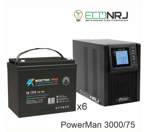 ИБП POWERMAN ONLINE 3000 Plus + ВОСТОК PRO СК-1275