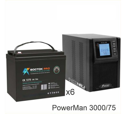 ИБП POWERMAN ONLINE 3000 Plus + ВОСТОК PRO СК-1275