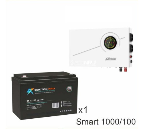 ИБП Powerman Smart 1000 INV + ВОСТОК PRO СХ-12100