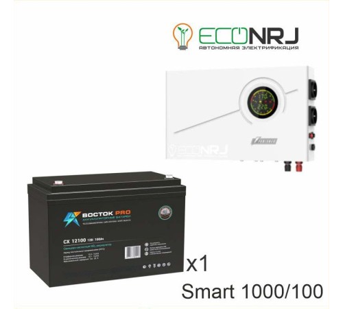 ИБП Powerman Smart 1000 INV + ВОСТОК PRO СХ-12100