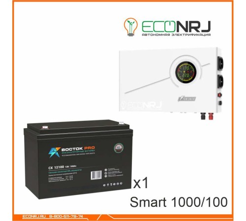 ИБП Powerman Smart 1000 INV + ВОСТОК PRO СХ-12100