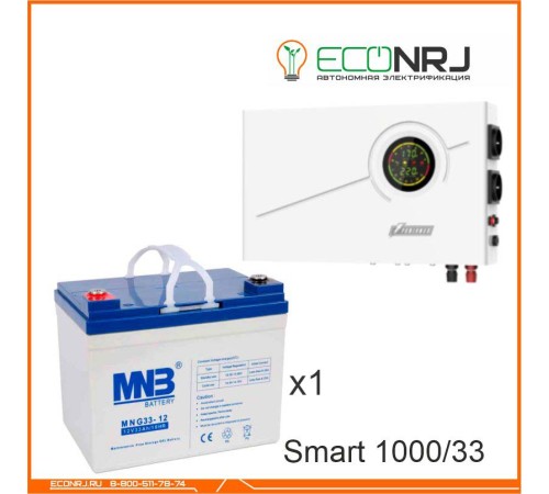 ИБП Powerman Smart 1000 INV + MNB MNG33-12