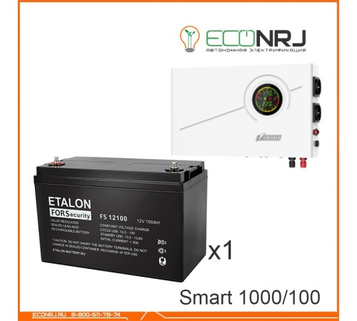 ИБП Powerman Smart 1000 INV + ETALON FS 12100