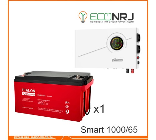 ИБП Powerman Smart 1000 INV + ETALON FORS 1265