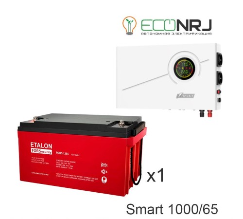 ИБП Powerman Smart 1000 INV + ETALON FORS 1265