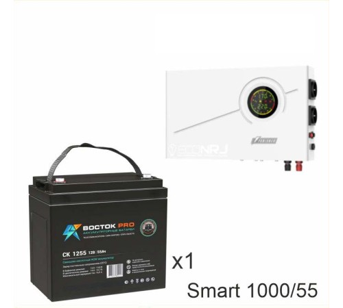 ИБП Powerman Smart 1000 INV + ВОСТОК PRO СК-1255