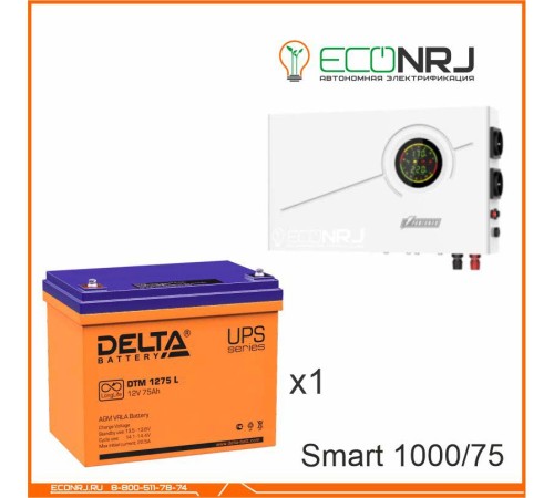 ИБП Powerman Smart 1000 INV + Delta DTM 1275 L