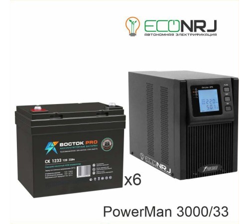 ИБП POWERMAN ONLINE 3000 Plus + ВОСТОК PRO СК-1233