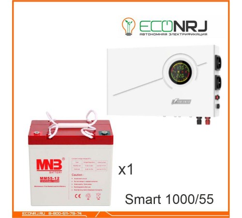 ИБП Powerman Smart 1000 INV + MNB MМ55-12