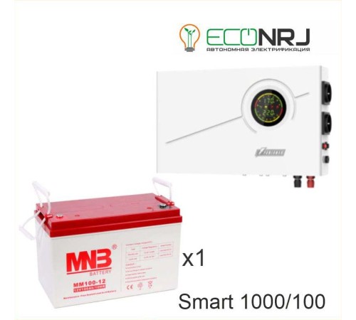 ИБП Powerman Smart 1000 INV + MNB MМ100-12