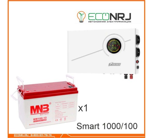 ИБП Powerman Smart 1000 INV + MNB MМ100-12