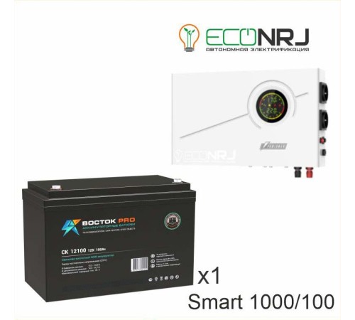 ИБП Powerman Smart 1000 INV + ВОСТОК PRO СК-12100