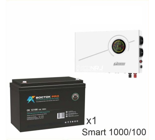 ИБП Powerman Smart 1000 INV + ВОСТОК PRO СК-12100