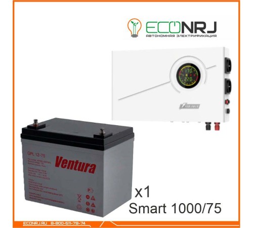 ИБП Powerman Smart 1000 INV + Ventura GPL 12-75