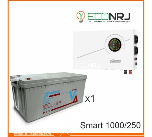 ИБП Powerman Smart 1000 INV + Vektor GL 12-250