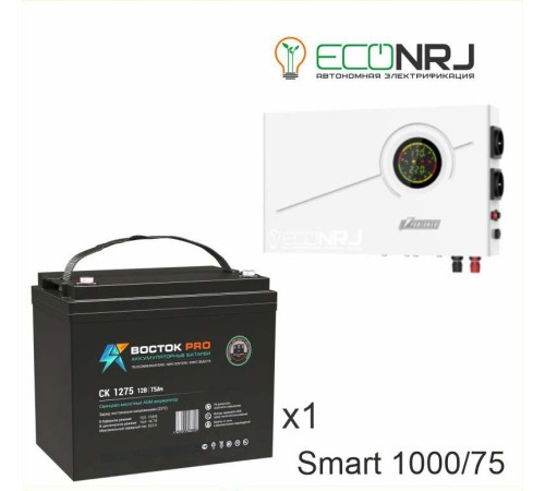 ИБП Powerman Smart 1000 INV + ВОСТОК PRO СК-1275