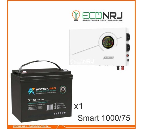 ИБП Powerman Smart 1000 INV + ВОСТОК PRO СК-1275