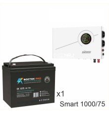 ИБП Powerman Smart 1000 INV + ВОСТОК PRO СК-1275