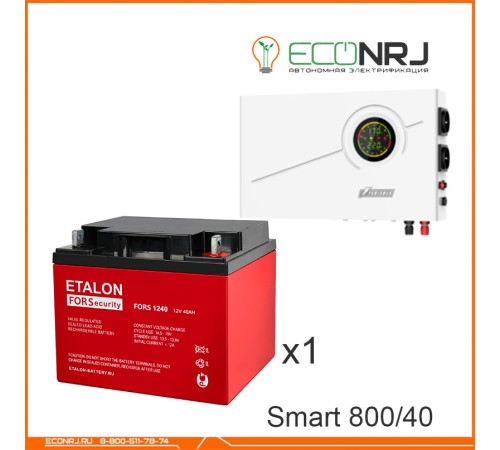 ИБП Powerman Smart 800 INV + ETALON FORS 1240