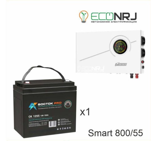 ИБП Powerman Smart 800 INV + ВОСТОК PRO СК-1255