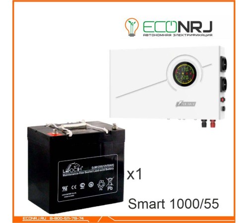 ИБП Powerman Smart 1000 INV + LEOCH DJM1255