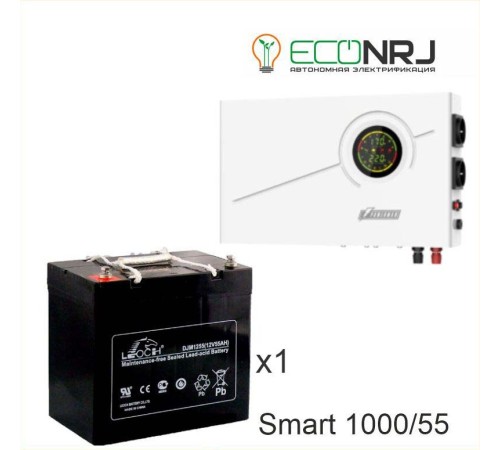 ИБП Powerman Smart 1000 INV + LEOCH DJM1255