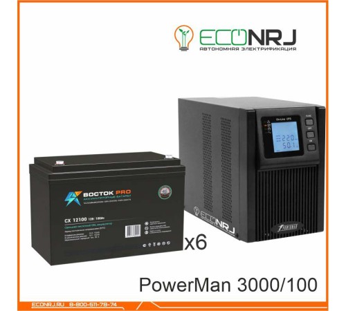 ИБП POWERMAN ONLINE 3000 Plus + ВОСТОК PRO СХ-12100