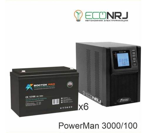 ИБП POWERMAN ONLINE 3000 Plus + ВОСТОК PRO СХ-12100