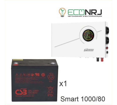 ИБП Powerman Smart 1000 INV + CSB GPL12800