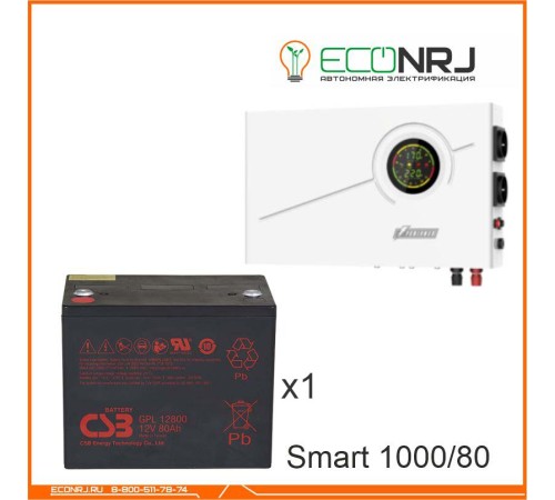 ИБП Powerman Smart 1000 INV + CSB GPL12800