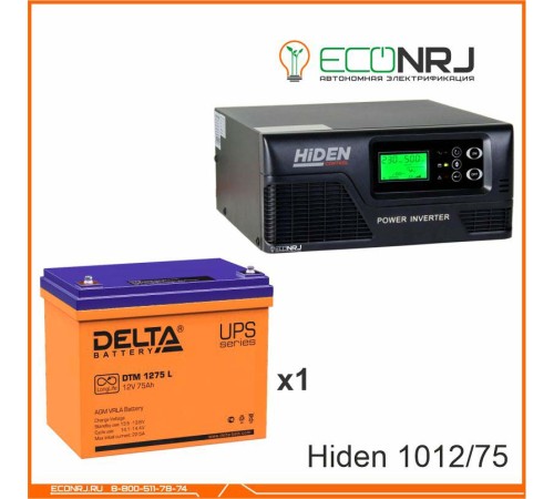 ИБП Hiden Control HPS20-1012 + Delta DTM 1275 L