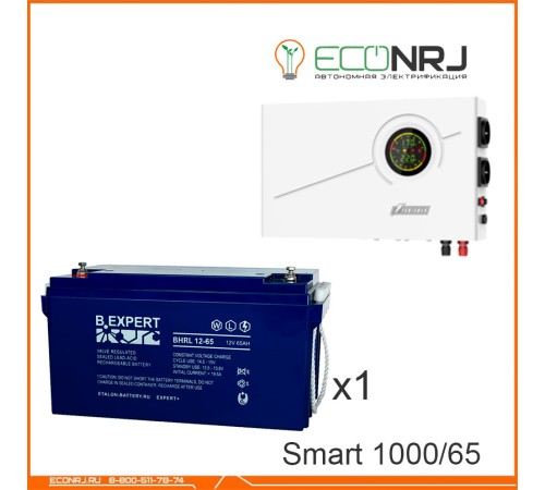 ИБП Powerman Smart 1000 INV + ETALON BHRL 12-65