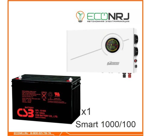 ИБП Powerman Smart 1000 INV + CSB GP121000