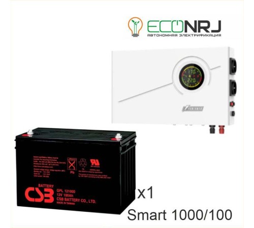 ИБП Powerman Smart 1000 INV + CSB GP121000